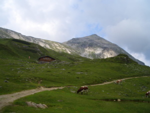 Giglsachseehütte mit dem Steirischen Kalkspitz